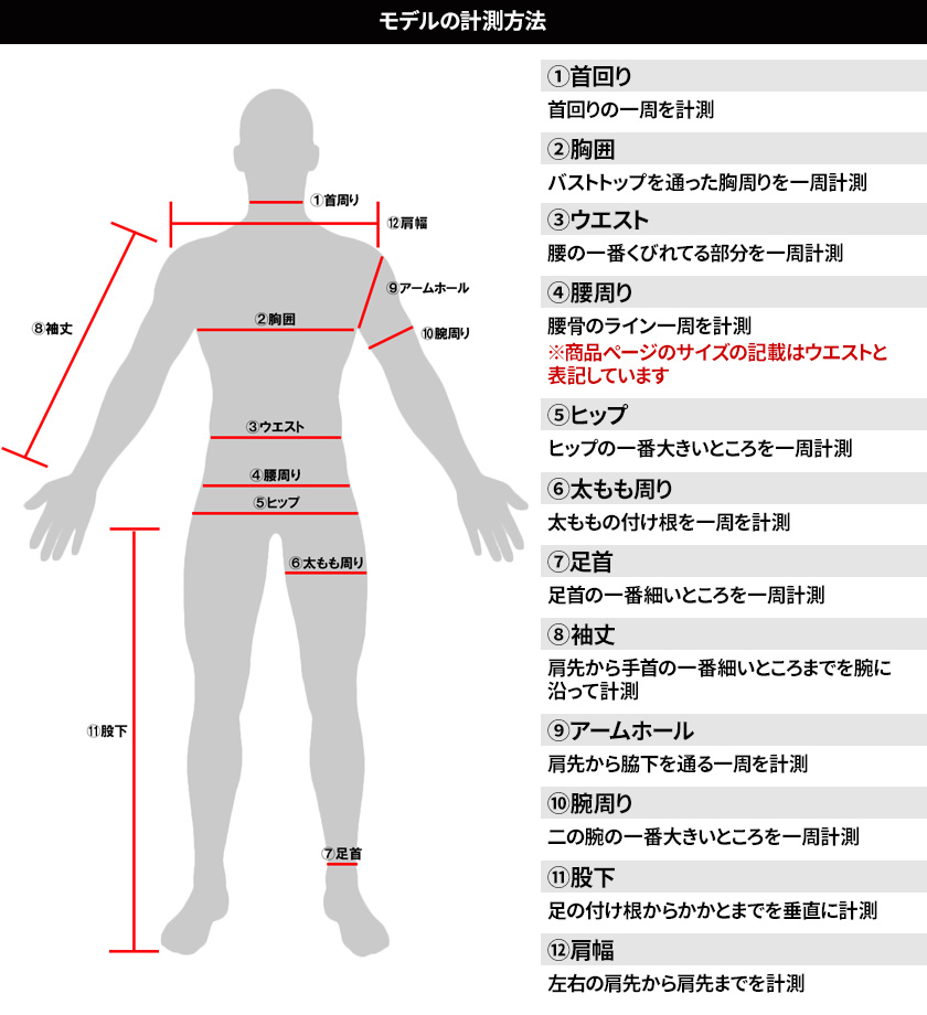 モデルの計測方法