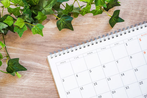 【2024年版】ラッキーカラーを財布に取り入れて運気UP