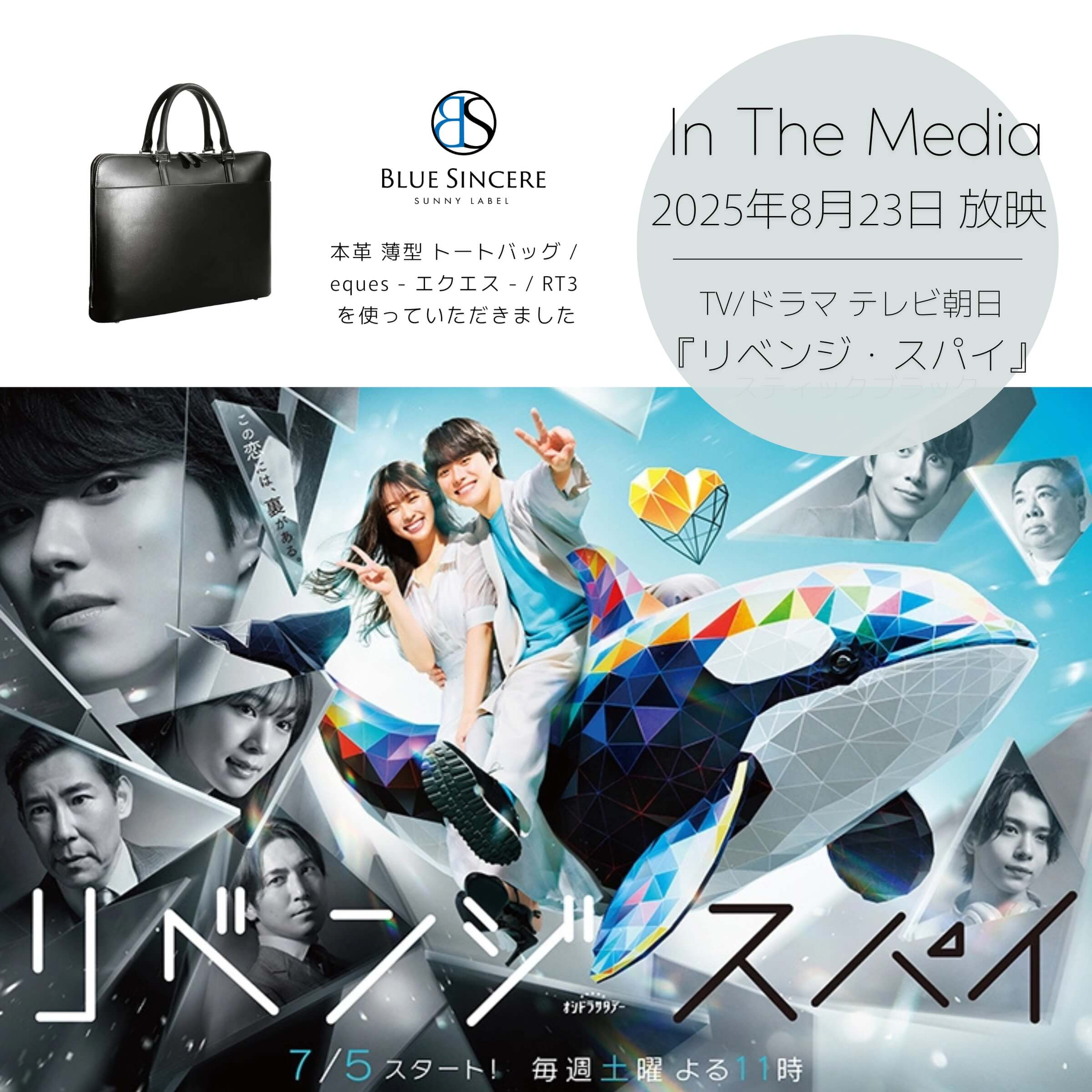 テレビ朝日 オシドラサタデー『リベンジ・スパイ』