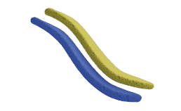 Sカーブ ヒールカウンター