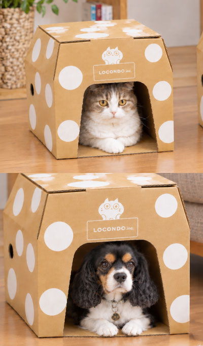ワンにゃん段ボール