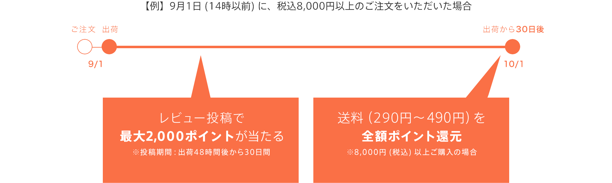 8,000円 (税込) 以上ご購入の場合／送料 (290円〜490円) を全額ポイント還元