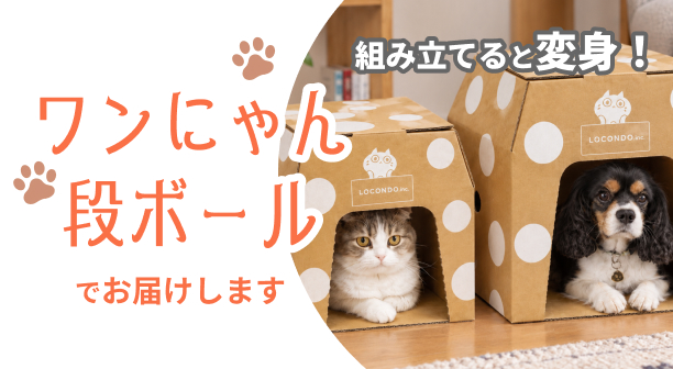 ワンにゃん段ボール