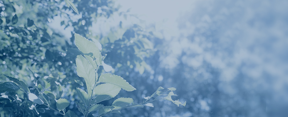 about SUSTAINABLE FASHION