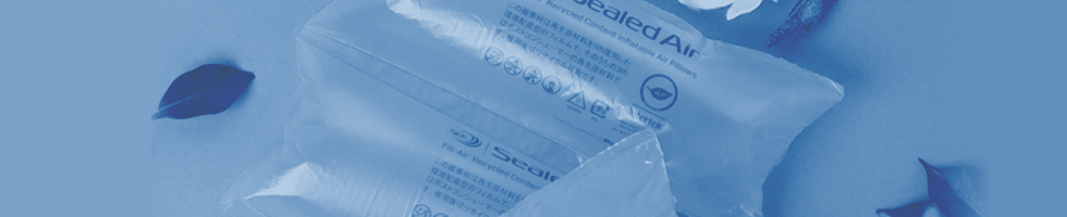 Corporate Initiatives