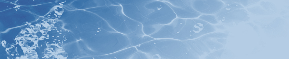 Corporate Initiatives