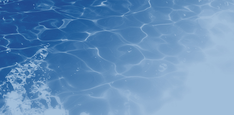 Corporate Initiatives