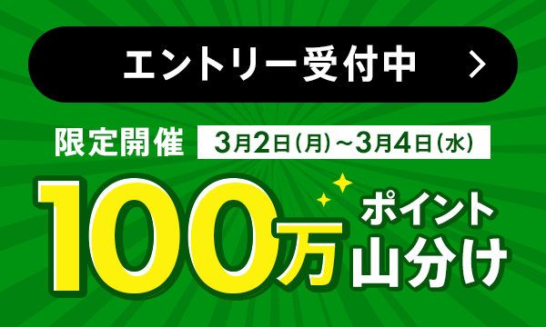 100万ポイント山分けキャンペーン