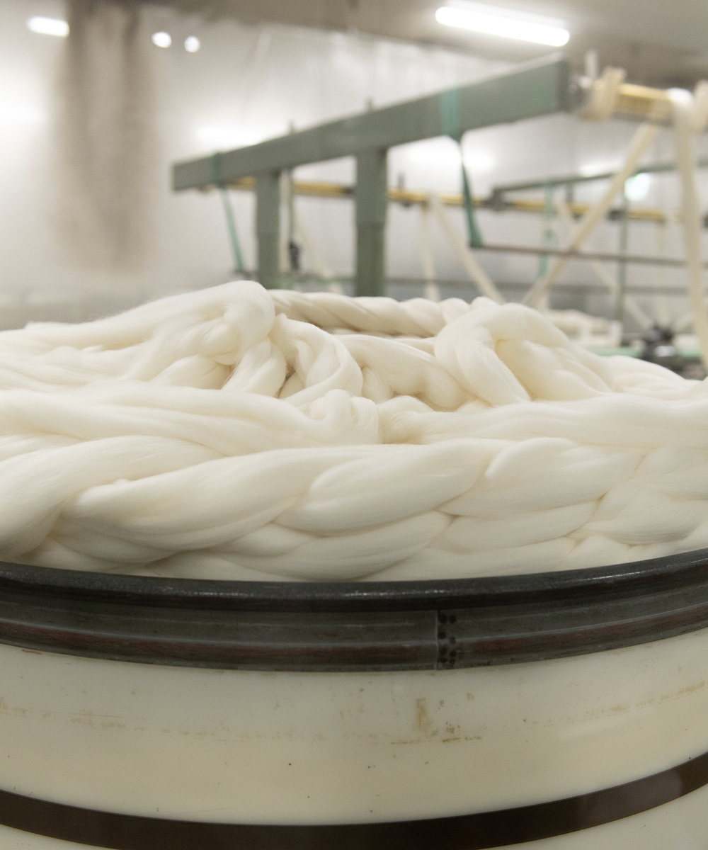 Altテキストを入力してください。