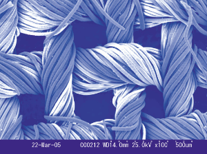 MONSOON<sup>®</sup>