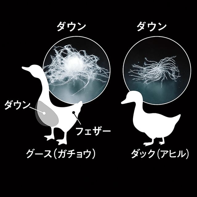 ダウンの種類