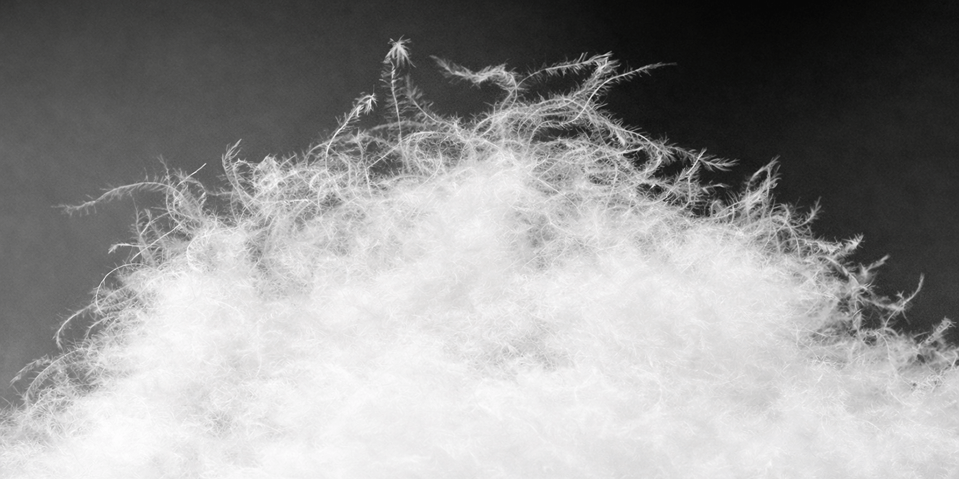 ダウンジャケットの暖かさの目安「フィルパワー」について徹底解説