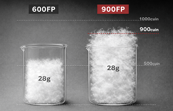 フィルパワーの数値を理解するための図解
