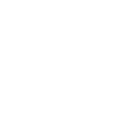 IENA