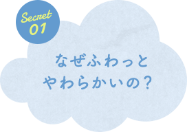Secret 01 なぜふわっとやわらかいの？