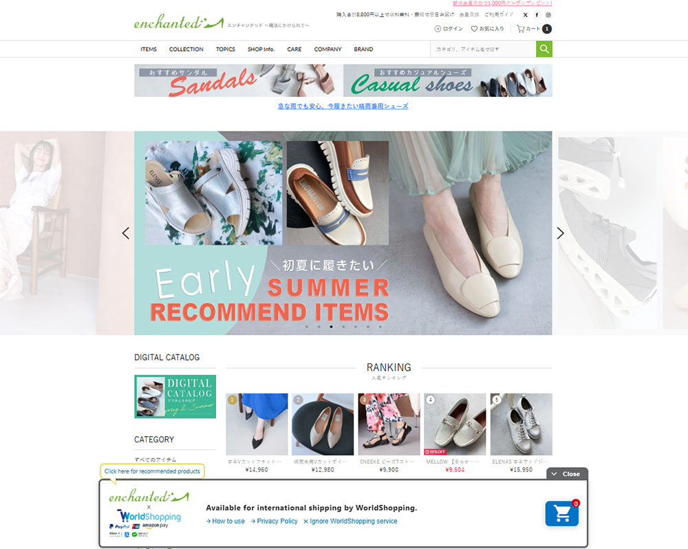 international-shopping-image