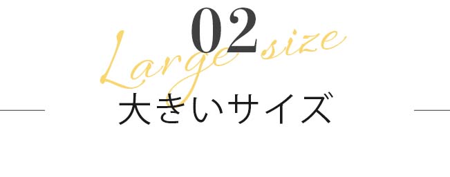 大きいサイズ