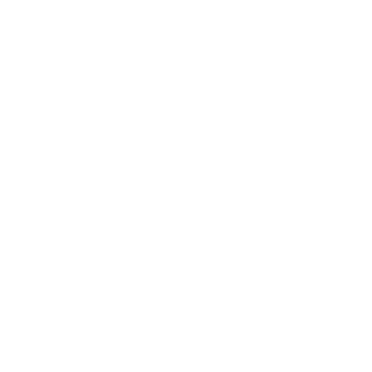 JOURNAL STANDARD