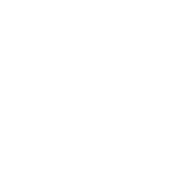 KOBE LETTUCE