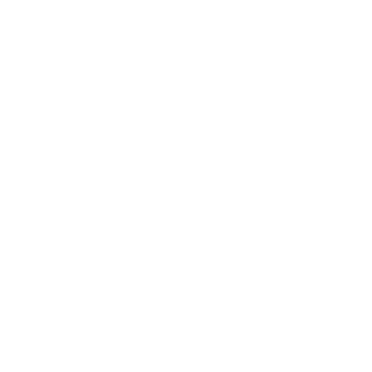 ROYAL PARTY'