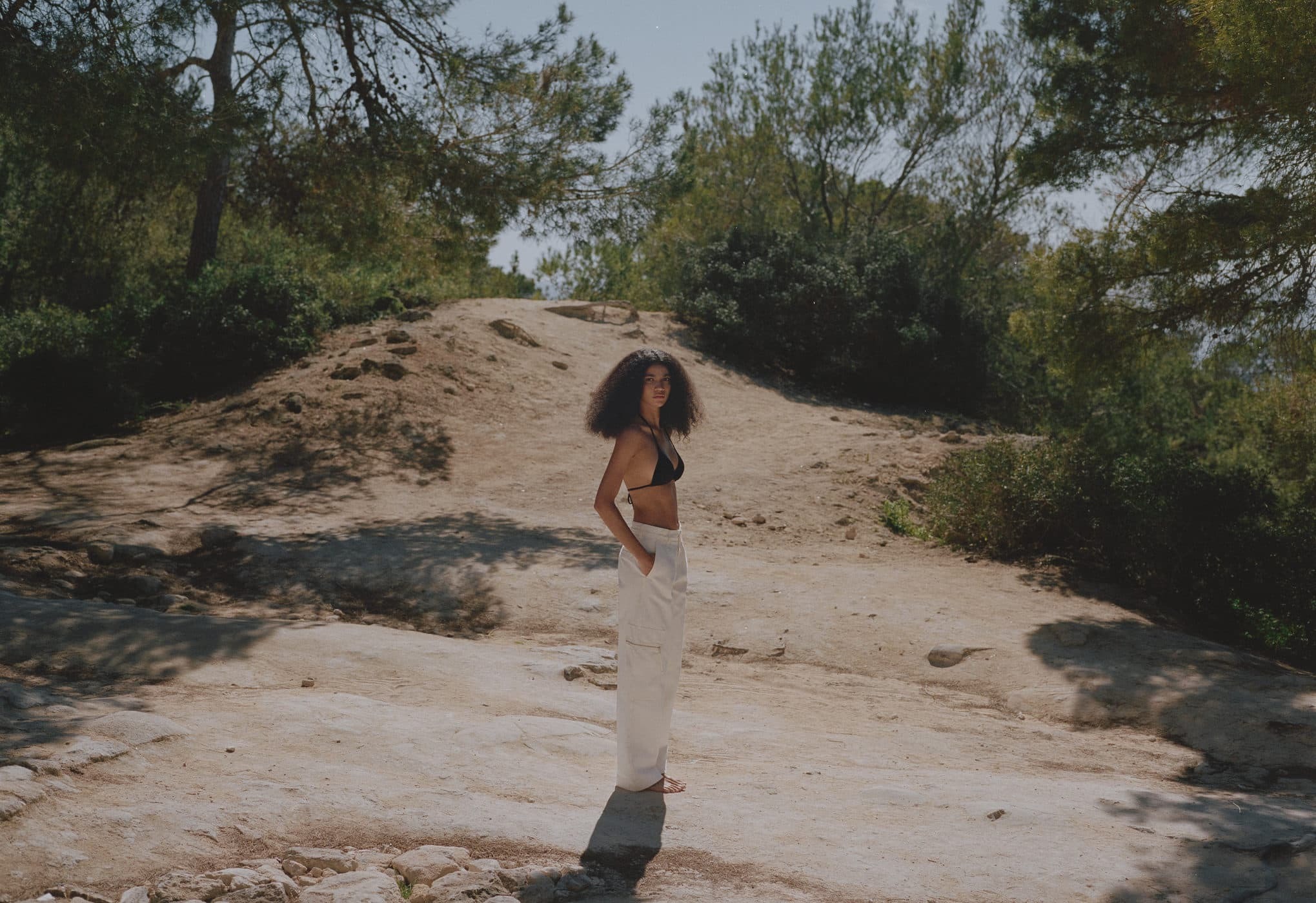 MANGO - EDGY SWEETNESS