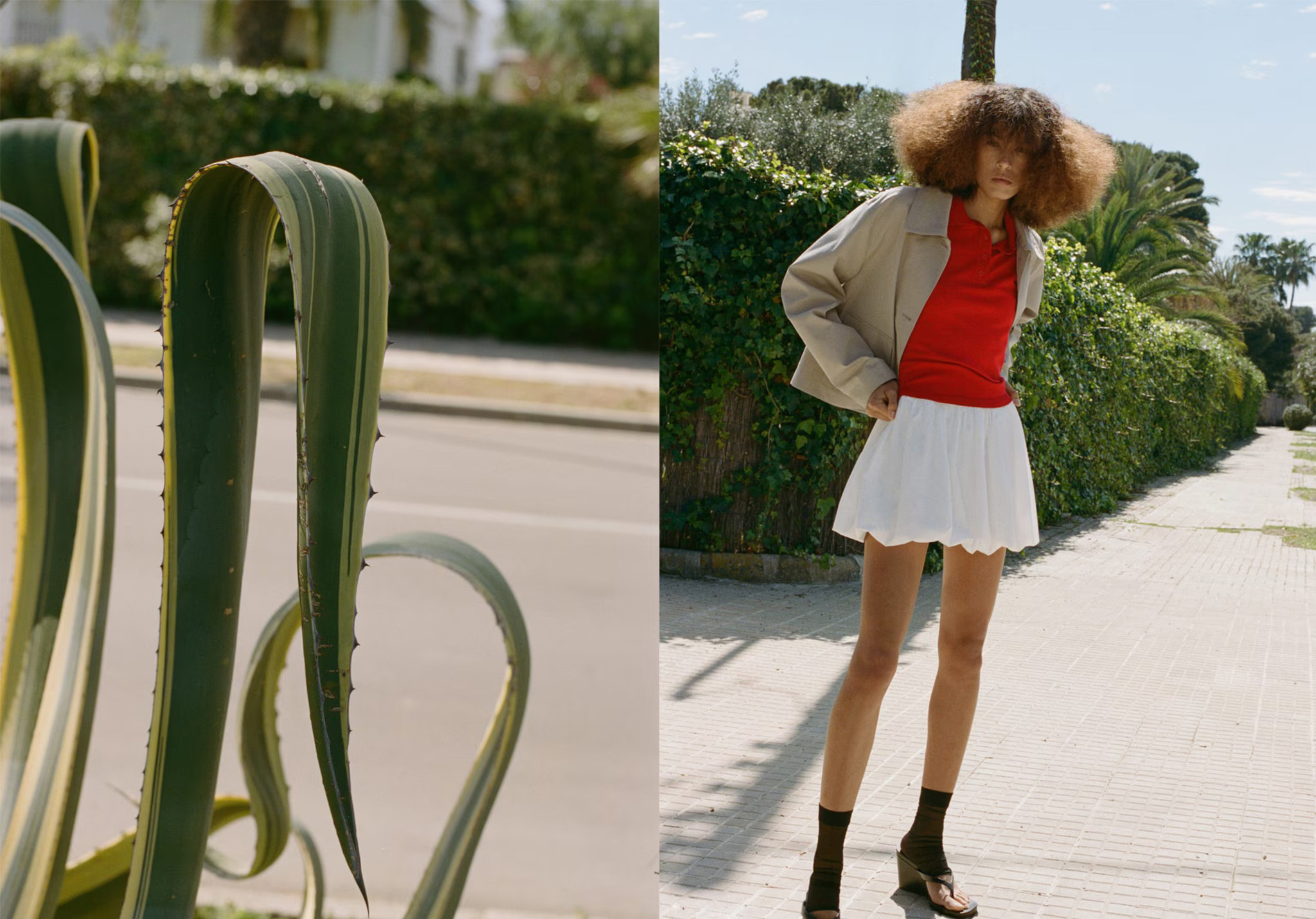 MANGO - #SS25_18