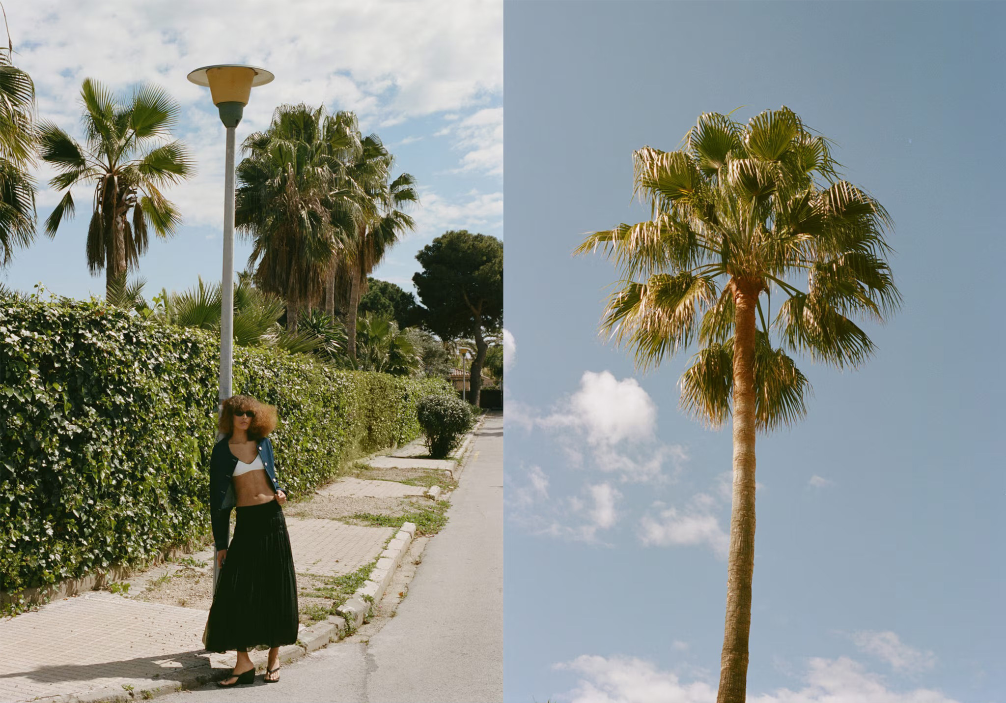 MANGO - #SS25_18