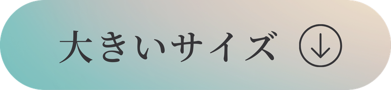 大きいサイズ