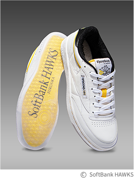 sole