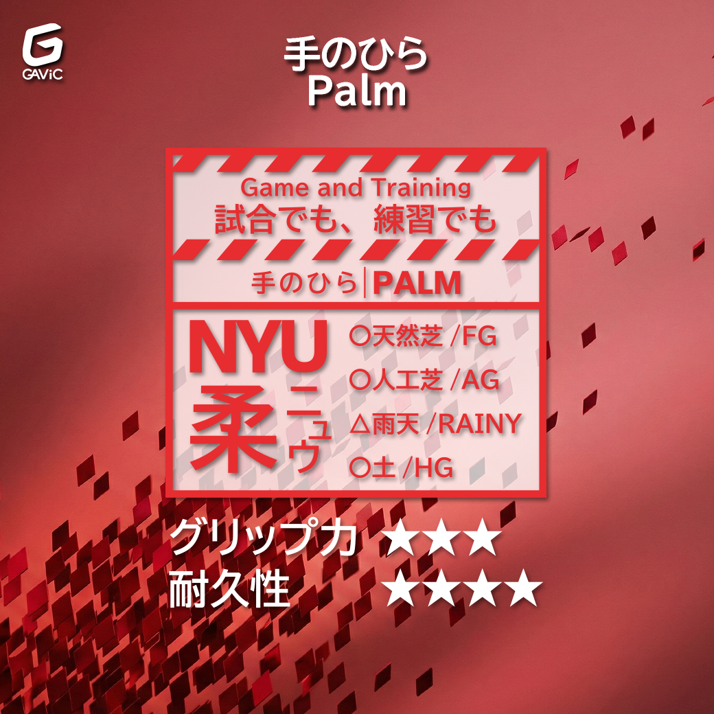 柔(NYU)