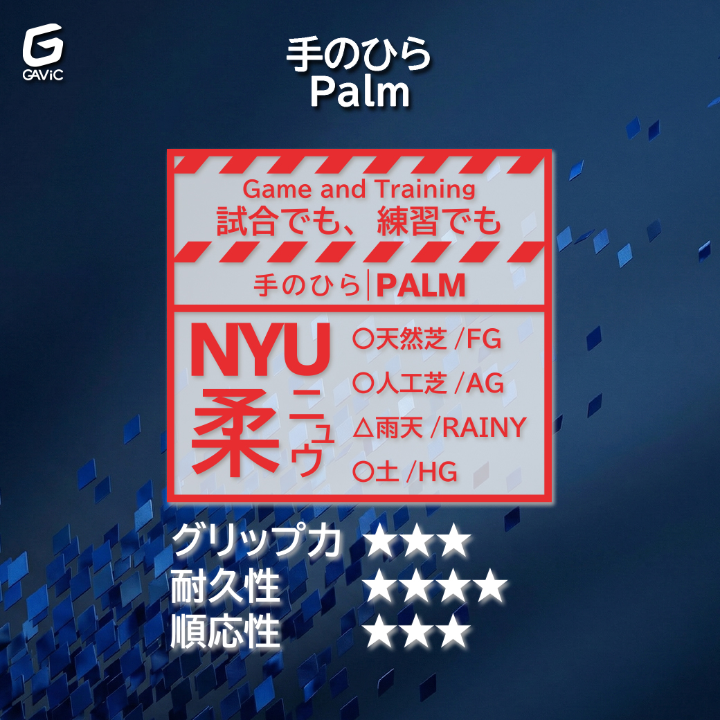 柔(NYU)