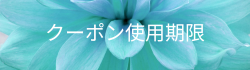 クーポン使用期限