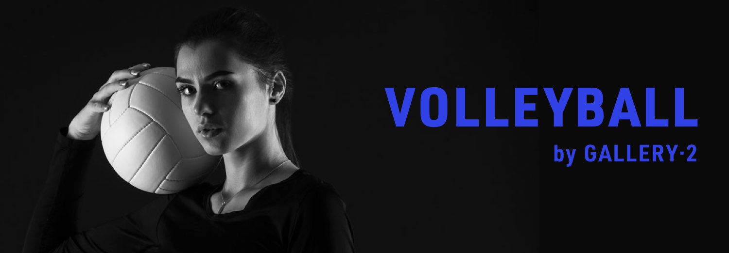 SWS volleyball by Gallery2