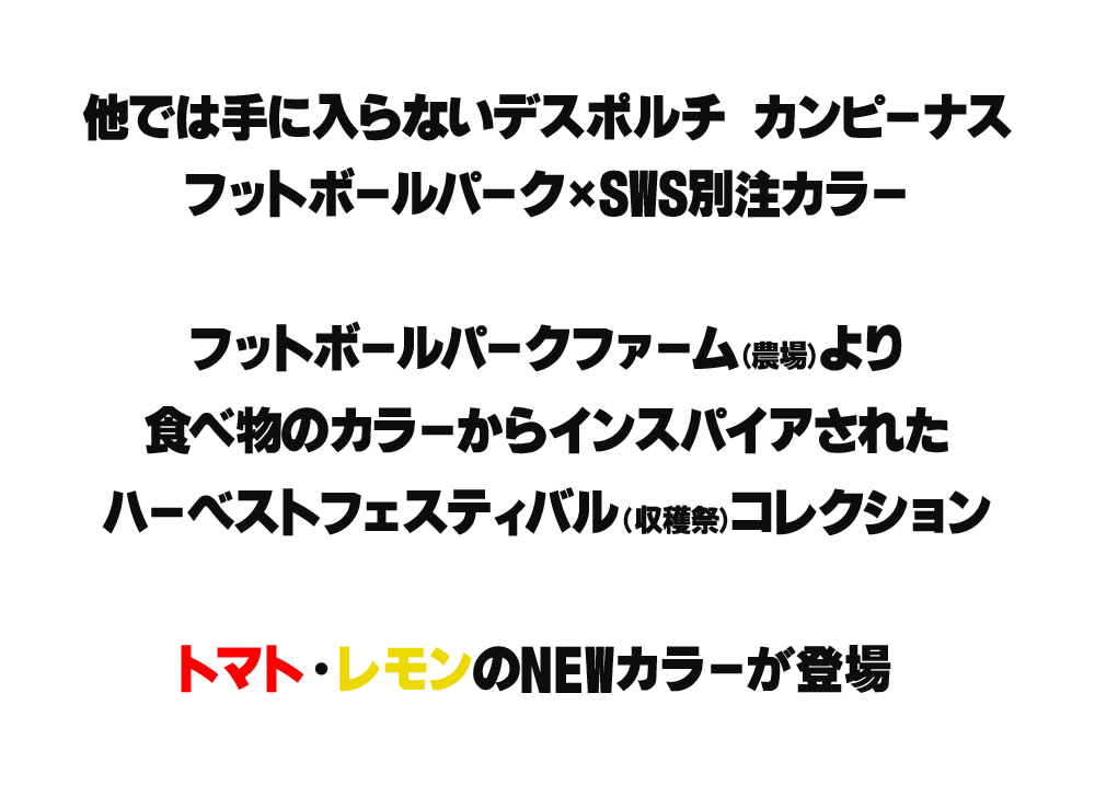デスポルチ カンピーナス別注カラー / DESPORTE CAMPINAS ORIGINAL COLOR
