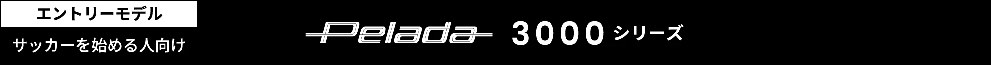 モルテン ペレーダ / MOLTEN Peleda