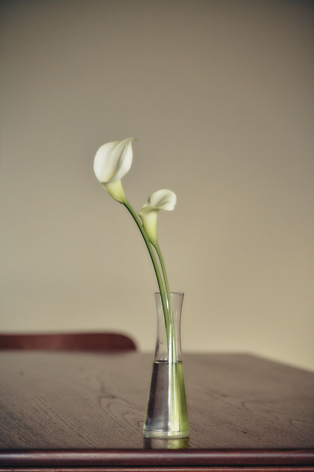 flower image